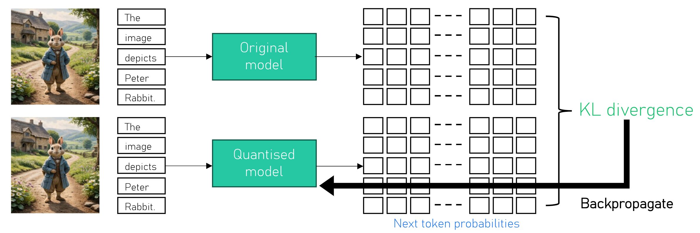 Teacher and quantised student models receive the same image and generated text sequence, compare next-token probability distributions with KL divergence, and backpropagate the loss into the quantised model.