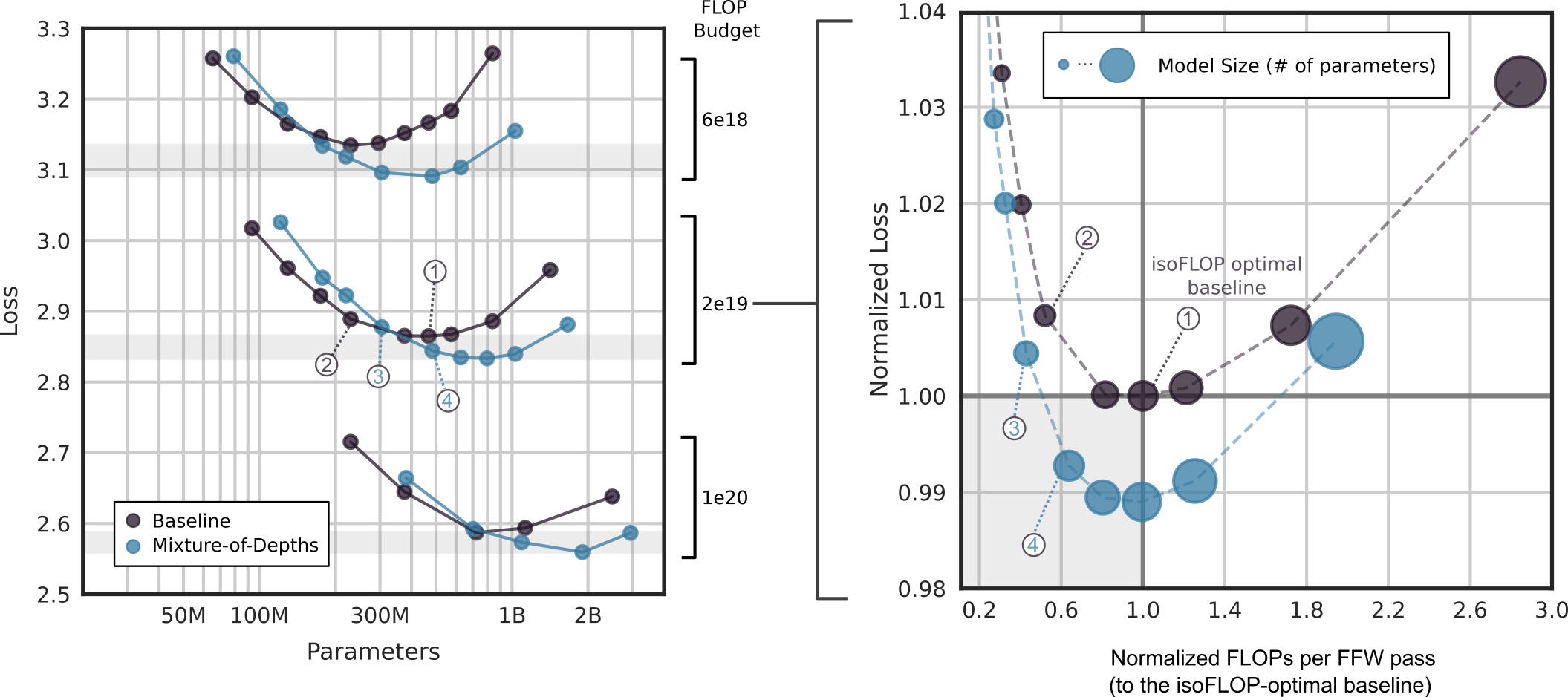 Comparing MoD and vanilla transformers for a range of FLOP budgets against model parameters and FLOPs per forward pass.