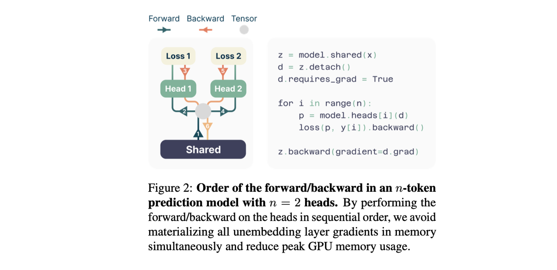 Forward/backward pass for multi-token prediction.