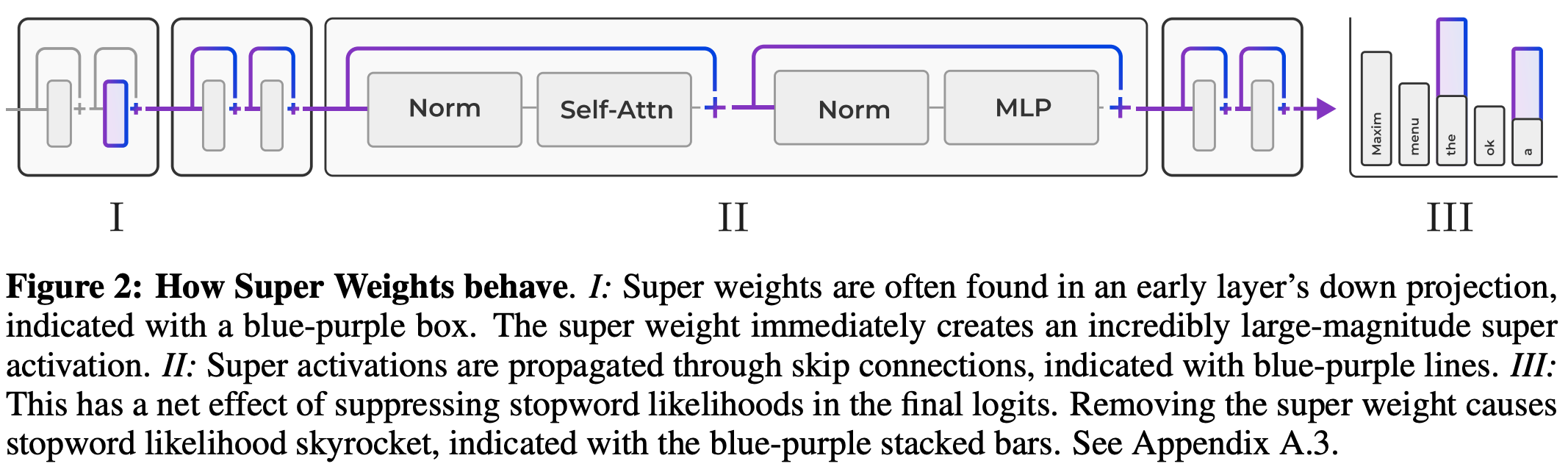 Schema describing the super weight phenomena on stopword probabilities