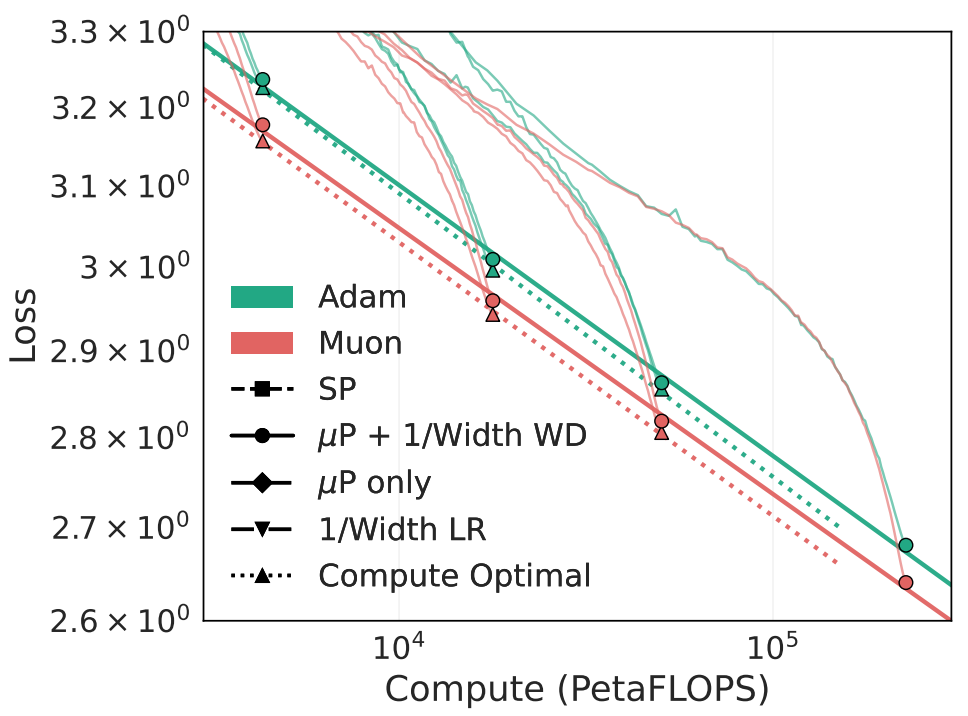Adam vs Muon training for compute vs loss. Muon training runs reach lower loss with equivalent compute.