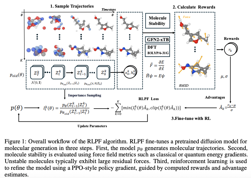 RLPF Workflow