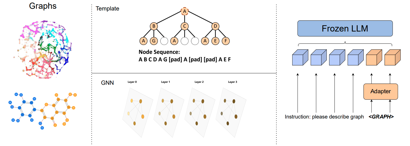 Figure 1. A high-level overview of LLM-based graph learning. The left shows examples of the graph structures that are represented. The middle illustrates both template-based and generic GNN-based methods. The right outlines the pipeline to align the graph