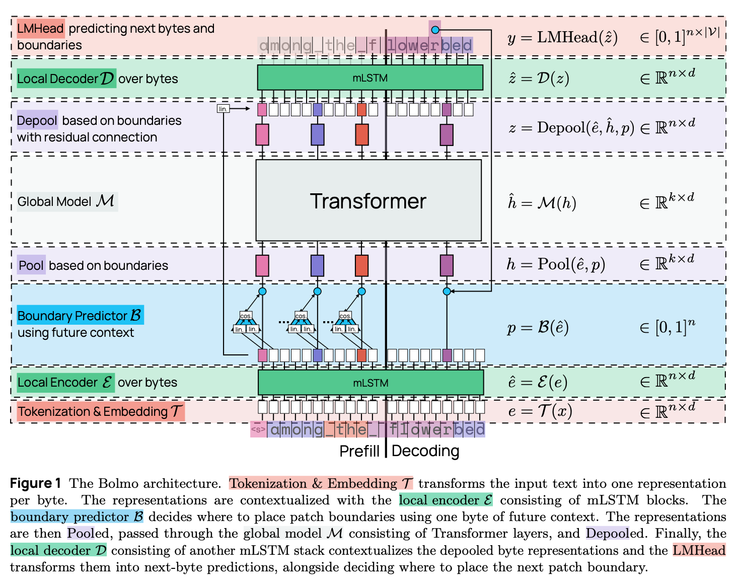 Diagram outlining the byte-level Bolmo architecture.