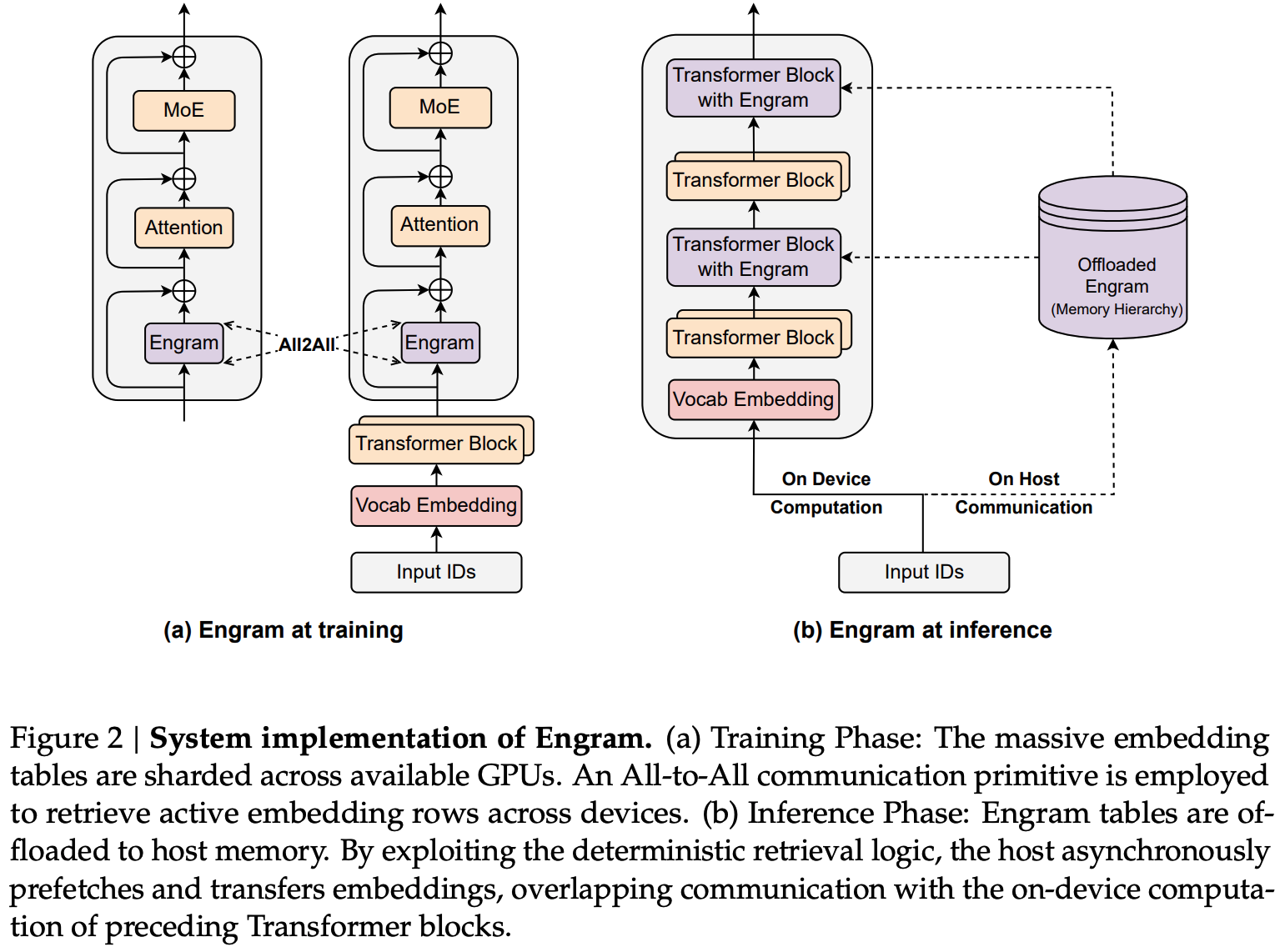 Systems implementation of Engram-augmented large language models during training and inference